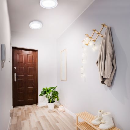 Briloner 7141-416 - LED plafonjera FIRE LED/21W/230V