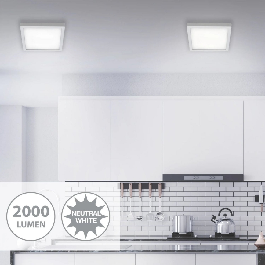 Briloner 7142-414 - LED plafonsko svetlo FIRE LED/21W/230V 4000K