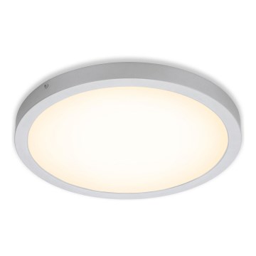 Briloner 7143-014 - LED plafonsko svetlo FIRE LED/24,5W/230V 3000K