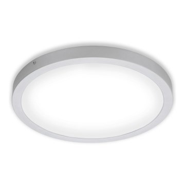 Briloner 7143-414 - LED plafonsko svetlo FIRE LED/24,5W/230V 4000K