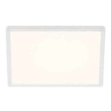 Briloner 7156-416 - LED plafonsko svetlo SLIM LED/18W/230V