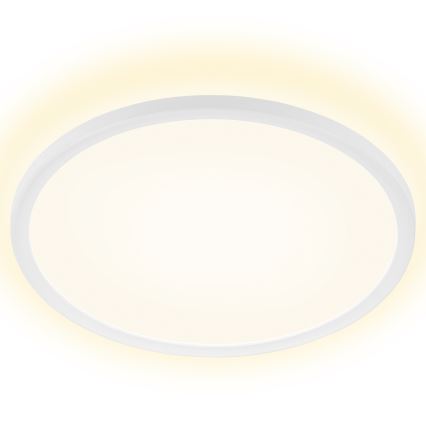 Briloner 7157-416 - LED plafonsko svetlo SLIM LED/22W/230V prečnik 42 cm