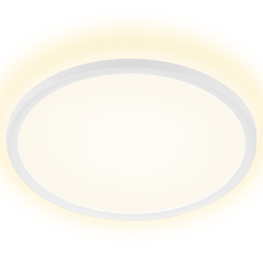 Briloner 7157-416 - LED plafonsko svetlo SLIM LED/22W/230V prečnik 42 cm