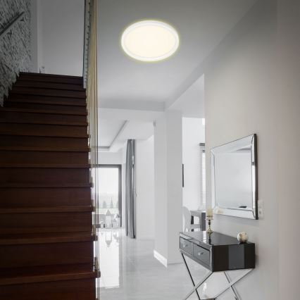 Briloner 7363-016 - LED plafonsko svetlo CADRE LED/22W/230V prečnik 42,5 cm bela