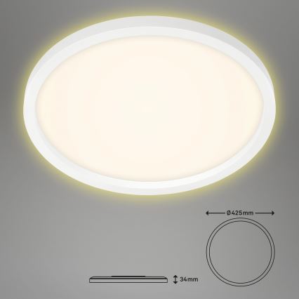 Briloner 7363-016 - LED plafonsko svetlo CADRE LED/22W/230V prečnik 42,5 cm bela