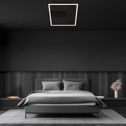 Briloner - LED plafonsko svetlo FRAME LED/14W/230V 3000K 30x32 cm crna