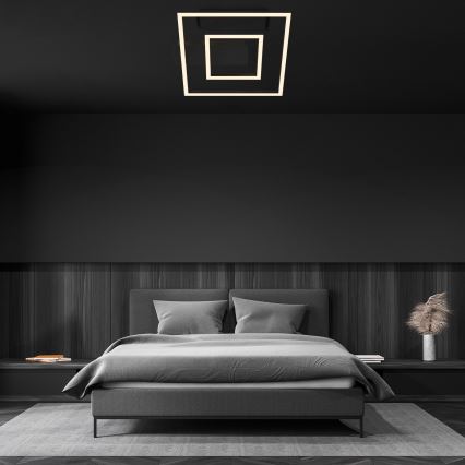 Briloner - LED plafonsko svetlo FRAME LED/22W/230V 3000K 30x32 cm crna