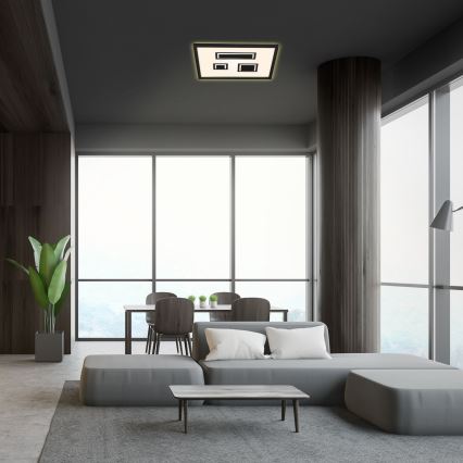 Briloner - LED plafonsko svetlo PAC LED/22W/230V