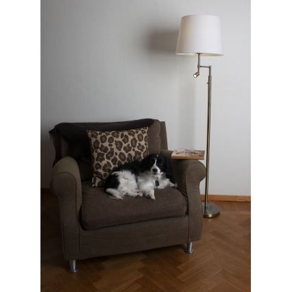 ByRydens - LED stojeća lampa ORLANDO 1xE27/5W/230V + LED/3W bela/bronza prečnik 36 cm