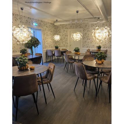 ByRydens - Luster na sajli GROSS 8xG9/4W/230V dimljena/braon prečnik 50 cm