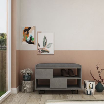 Cipelarnik TROY 53,5 x 83,5 cm sivi