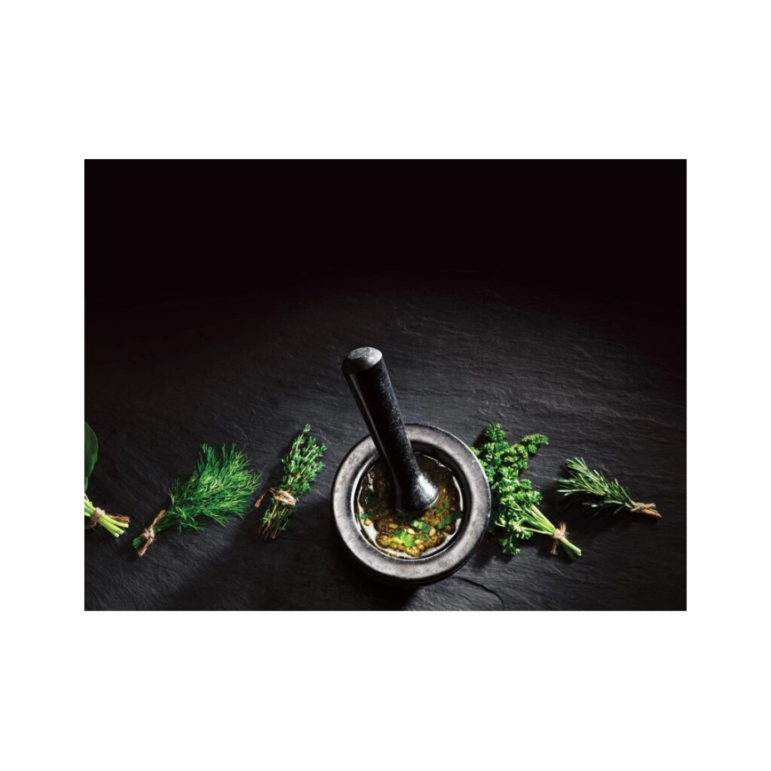 Cole&Mason - Granitni mužar sa tucalicom GRANITE, prečnik 14 cm, granit/crna