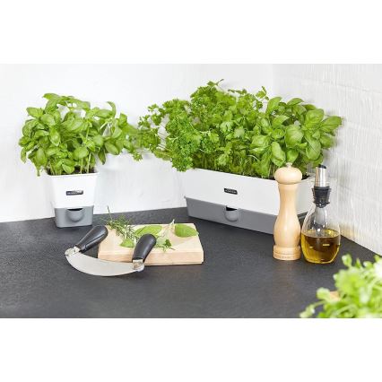 Cole&Mason - Mlin za biber CAPSTAN BEECH bukva 20 cm