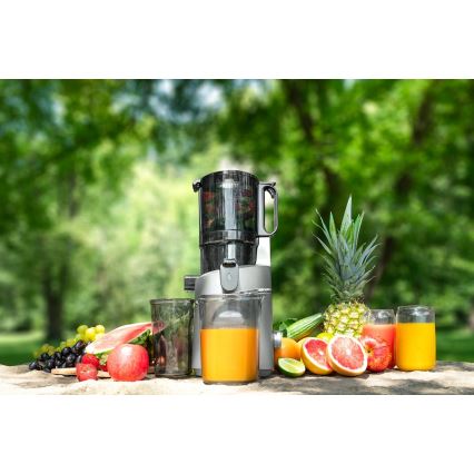 Concept LO7120 - Šnekoviti sokovnik JUICY 250W/230V siva