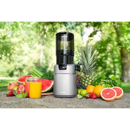 Concept LO7120 - Šnekoviti sokovnik JUICY 250W/230V siva
