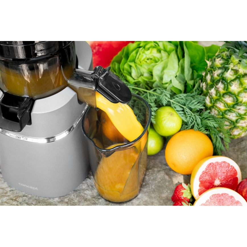 Concept LO7120 - Šnekoviti sokovnik JUICY 250W/230V siva