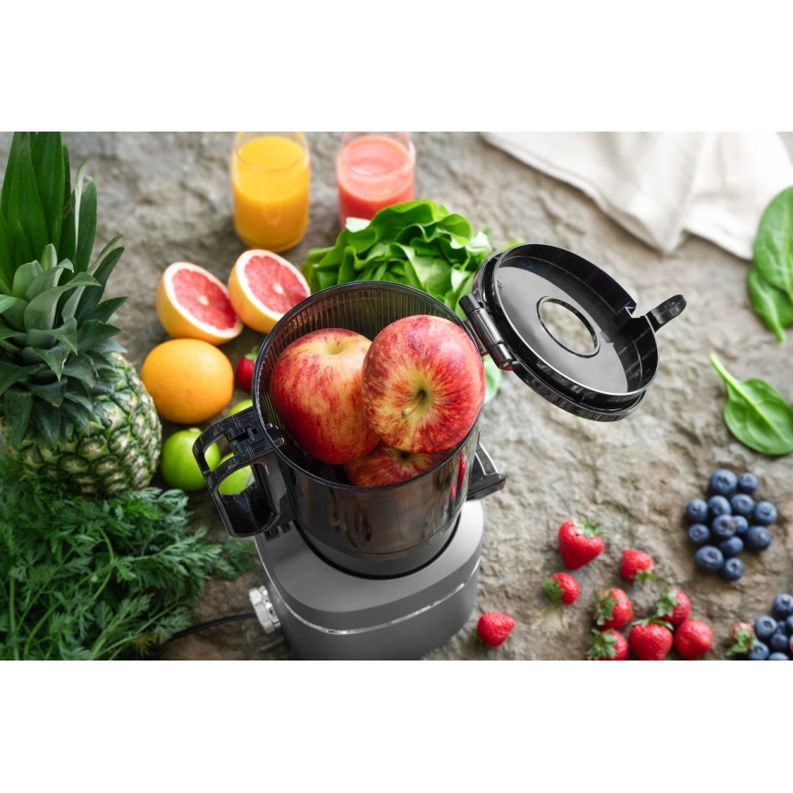 Concept LO7120 - Šnekoviti sokovnik JUICY 250W/230V siva