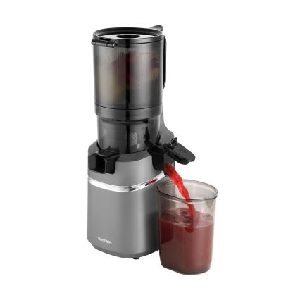 Concept LO7120 - Šnekoviti sokovnik JUICY 250W/230V siva