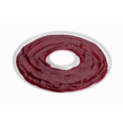 Concept SO2020 - Sušilica hrane 500W/230V bela