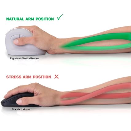 CONNECT IT CMO-2700-WH - Ergonomski bežični miš 800/1200/1600 DPI 1xAA beli