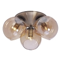 Cottex - Plafonsko svetlo CAPELLA 3xE14/40W/230V prečnik 37 cm dimljeno/braon
