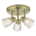 Där Lighting CED7675 - Kupatilsko spot svetlo CEDRIC 3xG9/25W/230V IP44 mesing