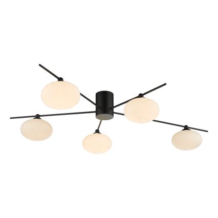 Där Lighting JAS5422 - Plafonski luster JASPER 5xG9/25W/230V crna