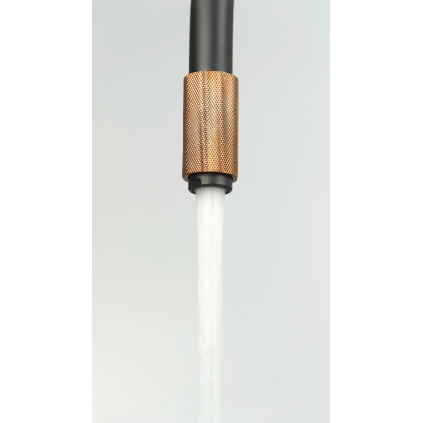 Deante BCA_B64M - slavina za sudoperu ASTER, crna/mesing