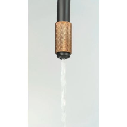 Deante BCA_B64M - slavina za sudoperu ASTER, crna/mesing