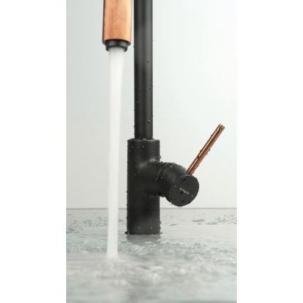 Deante BCA_B64M - slavina za sudoperu ASTER, crna/mesing