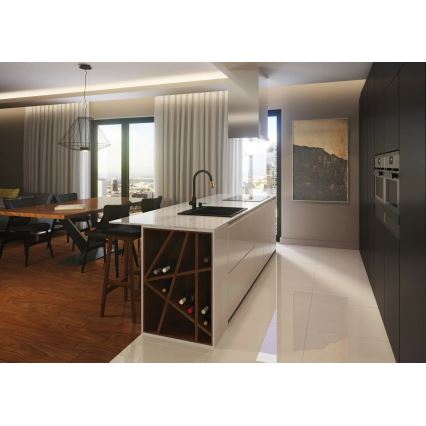 Deante BCA_B64M - slavina za sudoperu ASTER, crna/mesing