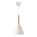 DFTP by Nordlux - Luster na sajli PURE 1xE27/40W/230V pr. 20 cm bela/jasen