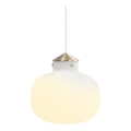 DFTP by Nordlux - Luster na sajli RAITO 1xE27/25W/230V