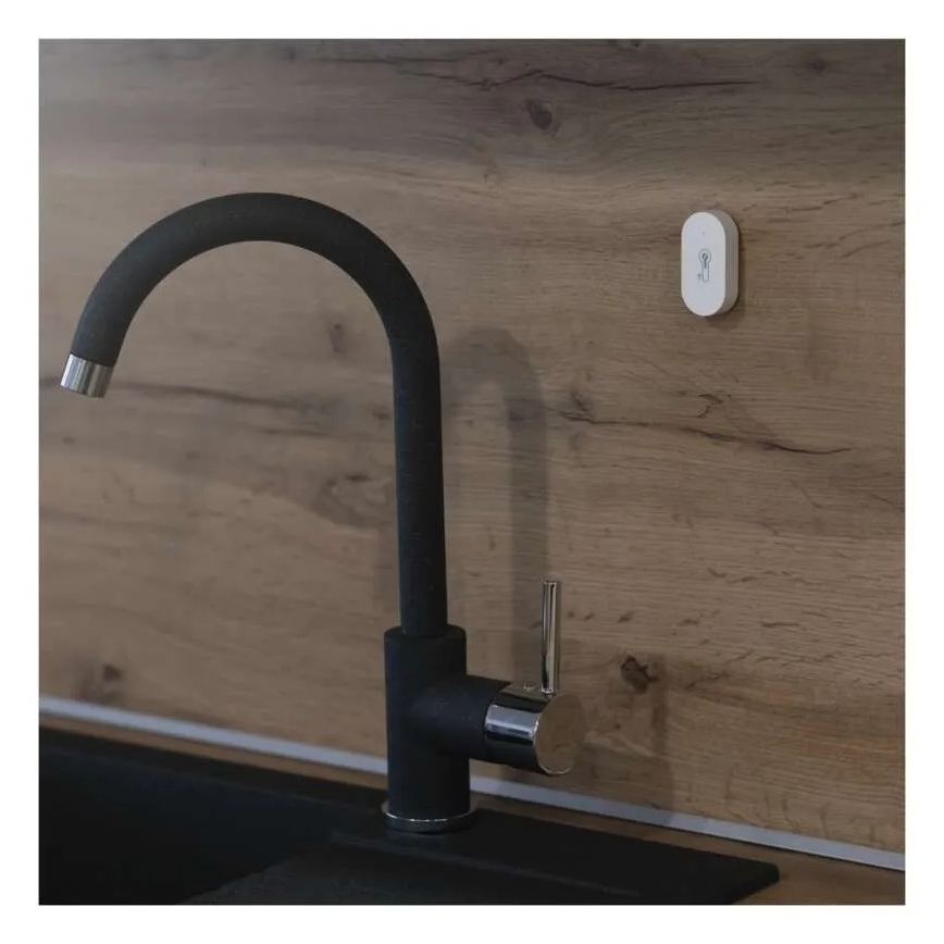 Digitalni bežični termometar GoSmart 1×CR2032 Tuya