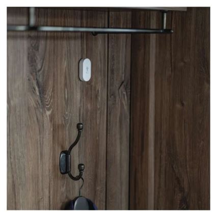 Digitalni bežični termometar GoSmart 1×CR2032 Tuya