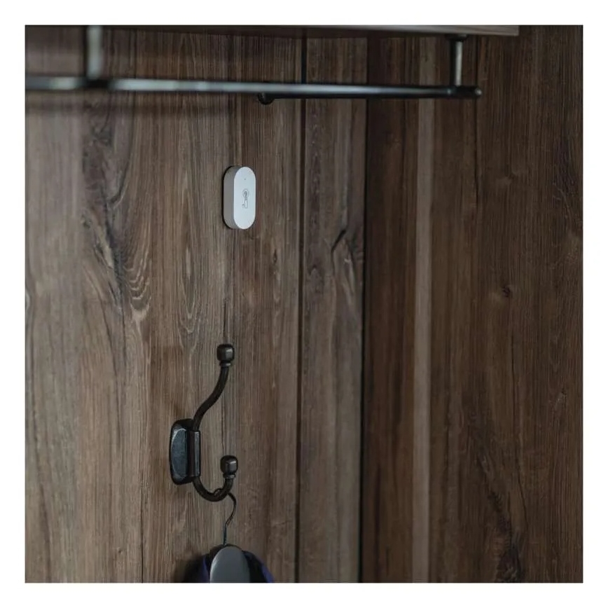 Digitalni bežični termometar GoSmart 1×CR2032 Tuya