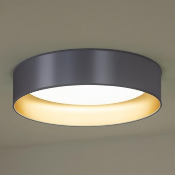 Duolla - LED plafonjera ROLLER LED/24W/230V prečnik 45 cm srebrna/zlatna