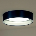 Duolla - LED plafonska svetiljka ROLLER LED/24W/230V prečnika 45 cm plava/srebrna