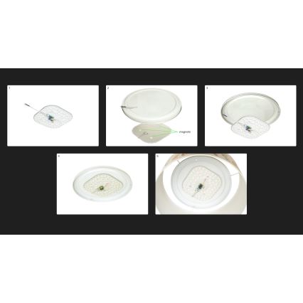 Duolla - LED plafonsko svetlo LUNETA LED/26W/230V Ø 60 cm 4000K krem/braon