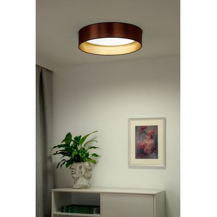 Duolla - LED plafonsko svetlo ROLLER LED/24W/230V, prečnik 45 cm, bakarno/zlatno