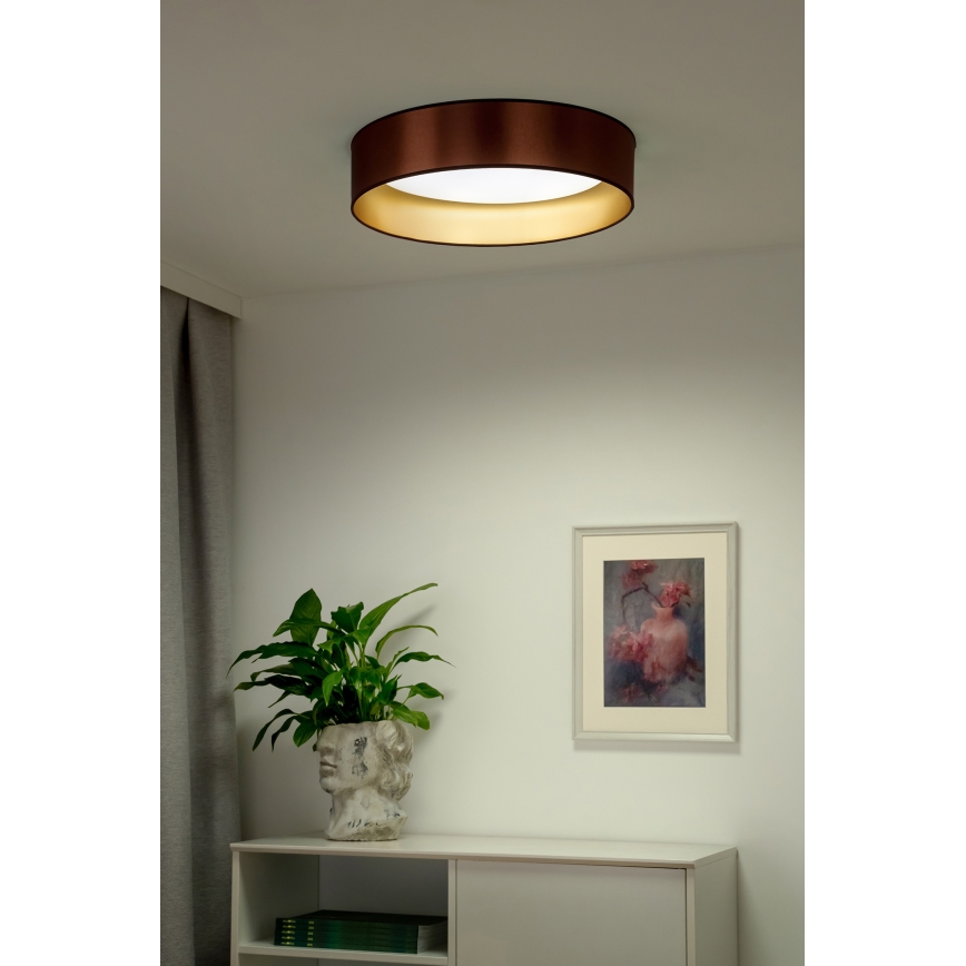 Duolla - LED plafonsko svetlo ROLLER LED/24W/230V, prečnik 45 cm, bakarno/zlatno