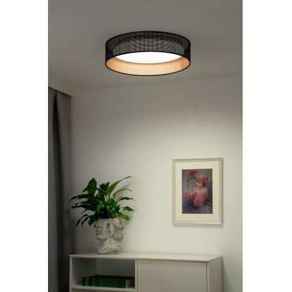 Duolla - LED plafonsko svetlo ROLLER LED/24W/230V, prečnik 45 cm, crna/bakarna