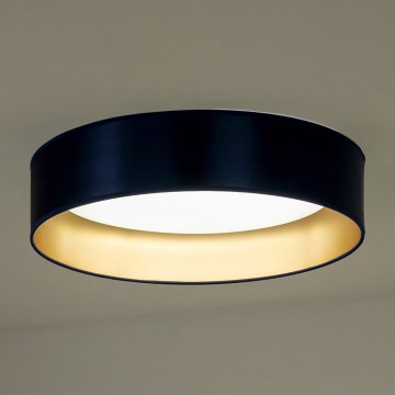 Duolla - LED plafonsko svetlo ROLLER LED/24W/230V prečnik 45 cm plava/zlatna