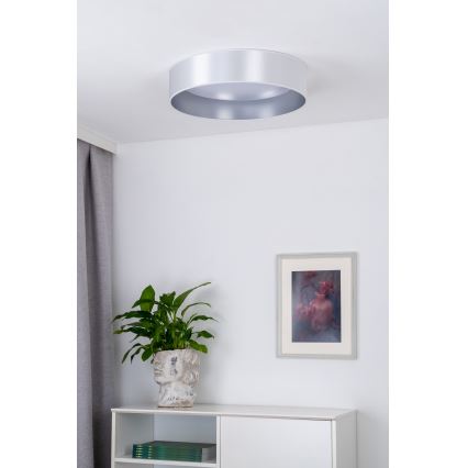 Duolla - LED plafonsko svetlo ROLLER LED/24W/230V prečnik 45 cm srebrno