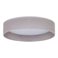 Duolla - LED plafonsko svetlo ROLLER LED/24W/230V, svetlo sive boje, prečnik 45 cm