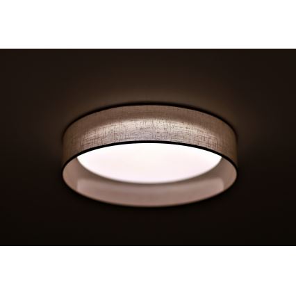 Duolla - LED plafonsko svetlo ROLLER LED/24W/230V, svetlo sive boje, prečnik 45 cm