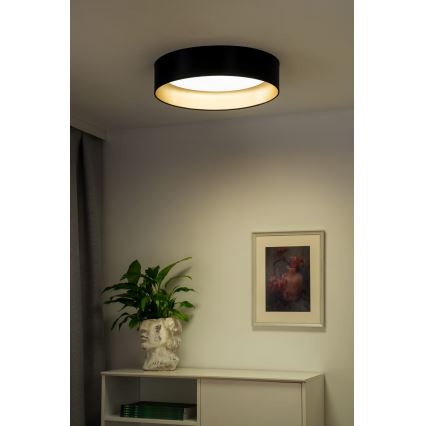 Duolla - LED plafonsko svetlo ROLLER LED/24W/230V Ø 45 cm crna/zlatna