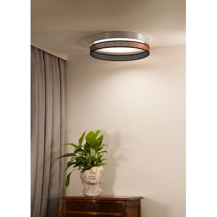 Duolla - LED stropno svetlo ROLLER DUO SHINY LED/24W/230V Ø 45 cm belo/bakarno