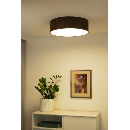 Duolla - LED stropno svetlo CORTINA LED/26W/230V prečnik 45 cm 4000K braon