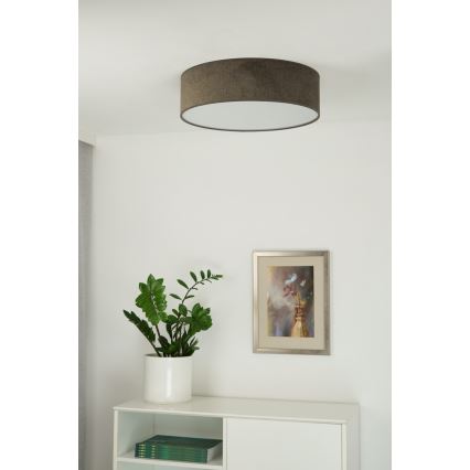 Duolla - LED stropno svetlo CORTINA LED/26W/230V prečnik 45 cm 4000K braon